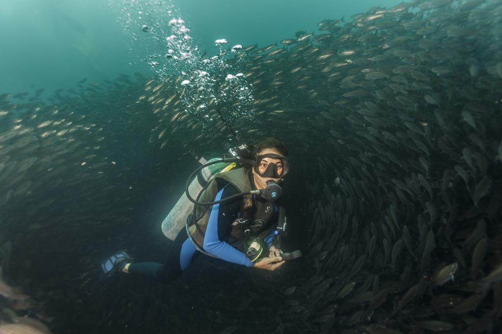 Hostal Castro Galapagos Puerto Ayora  Ngoại thất bức ảnh